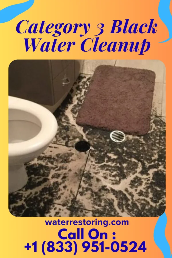 Category 3 Black Water Cleanup in Montpelier, ND