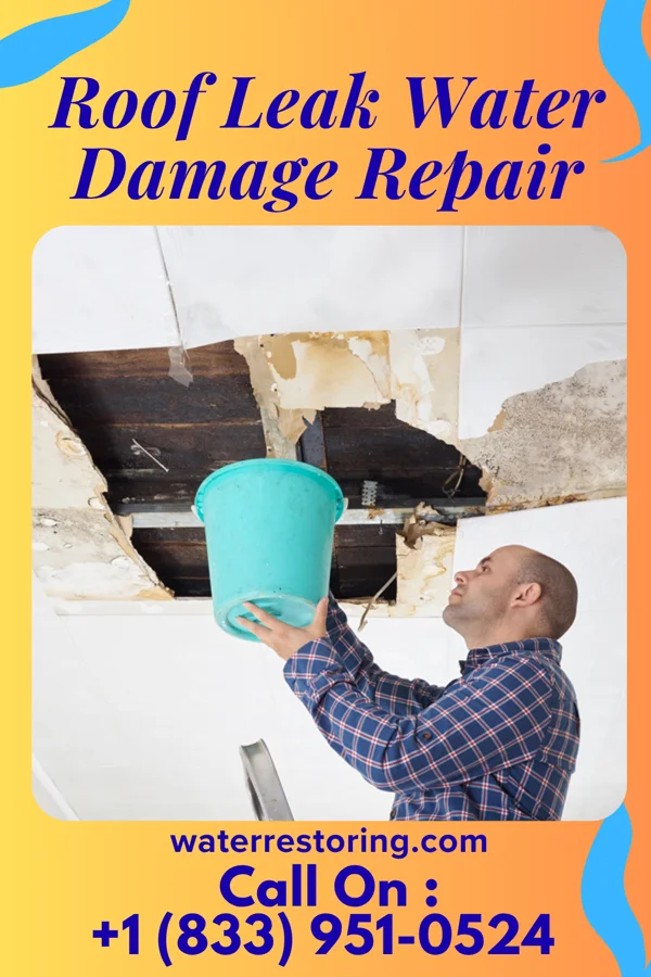 Roof Leak Water Damage Repair in Montpelier, ND